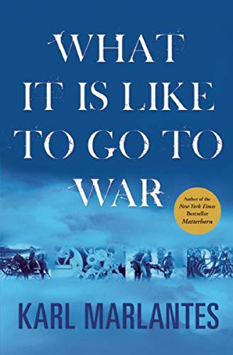 Book cover What it is Like to Go to War